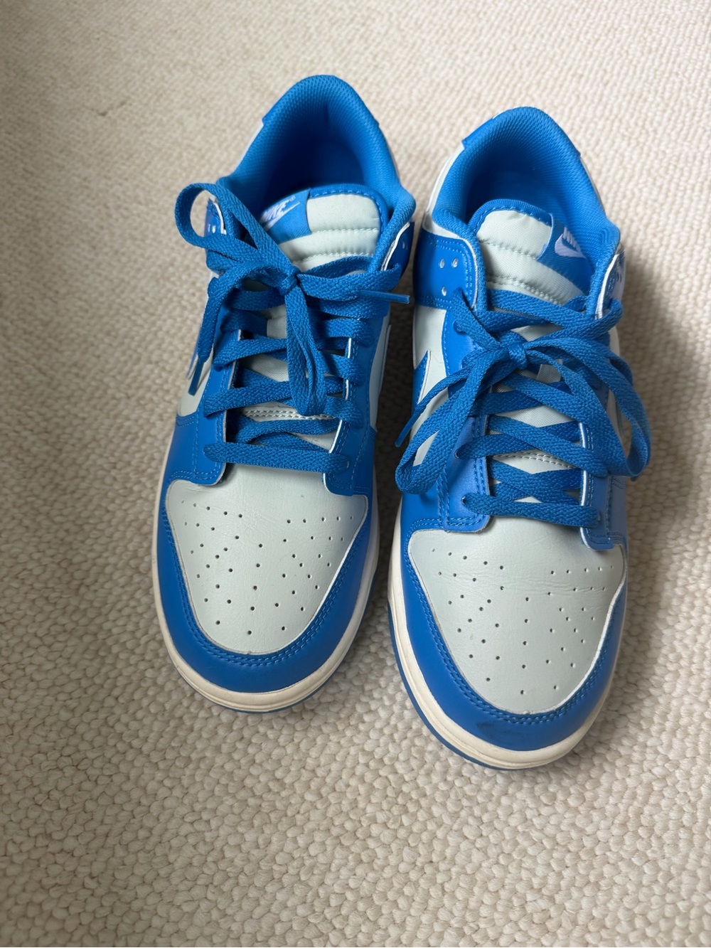 Nike men’s blue low dunk Sneakers size 10